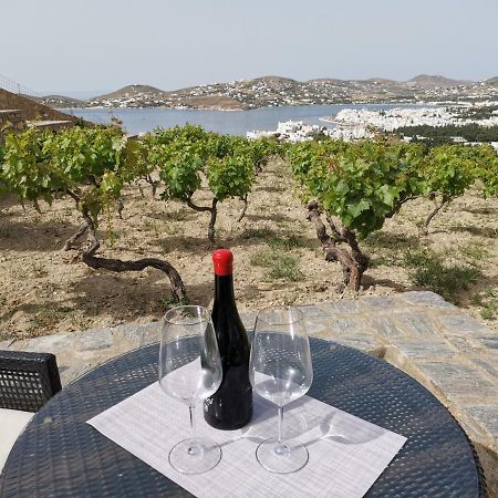 Wonderful Sea View Villa Páros Dış mekan fotoğraf