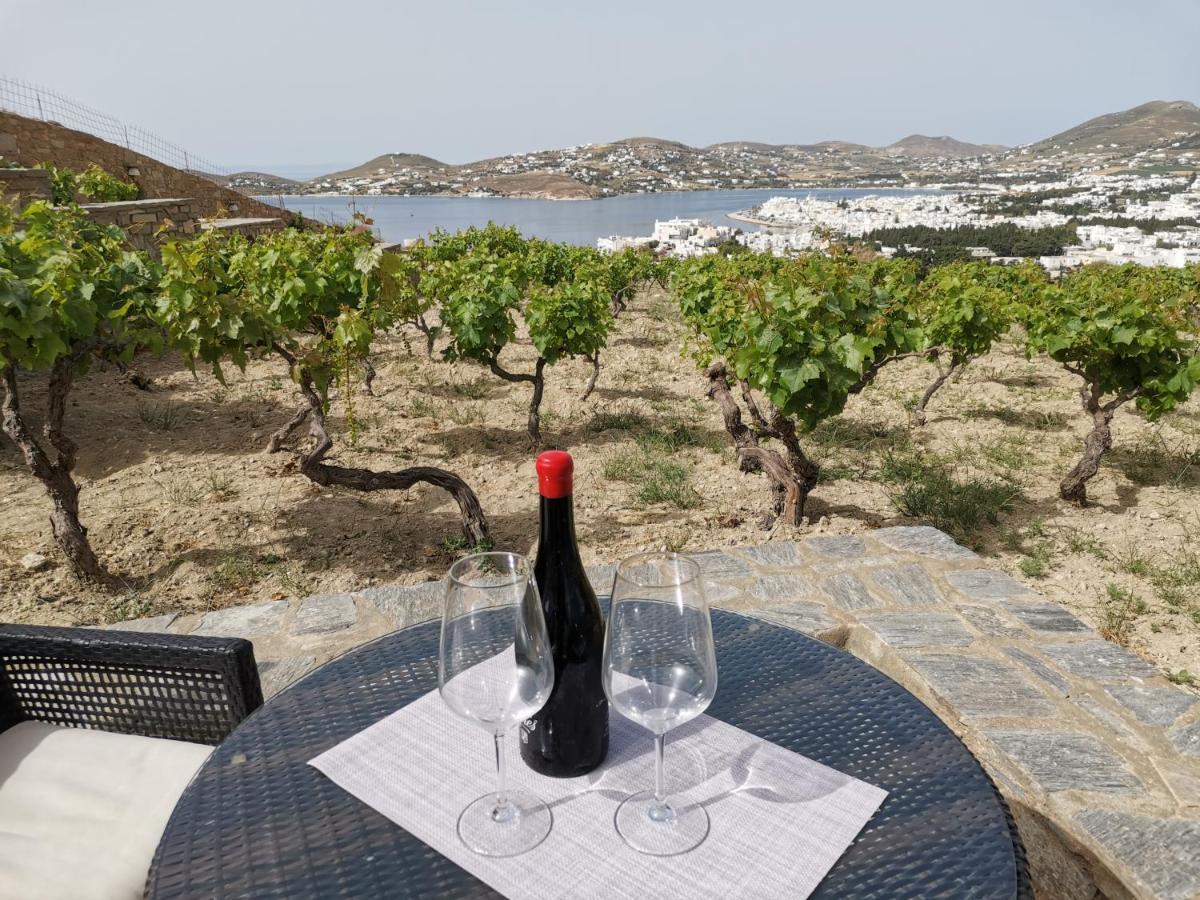 Wonderful Sea View Villa Páros Dış mekan fotoğraf