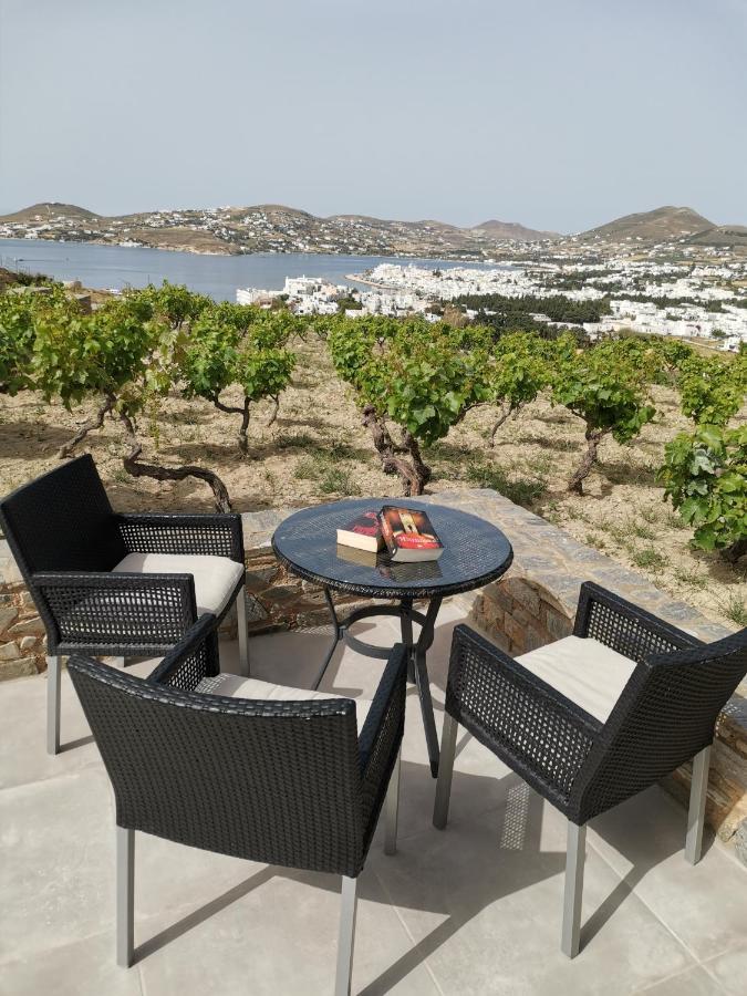 Wonderful Sea View Villa Páros Dış mekan fotoğraf