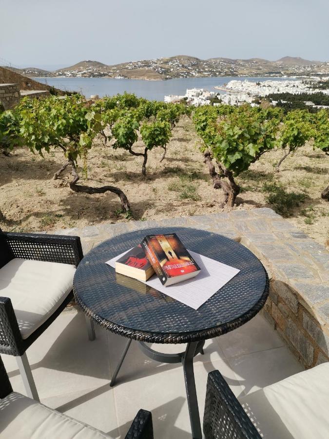Wonderful Sea View Villa Páros Dış mekan fotoğraf